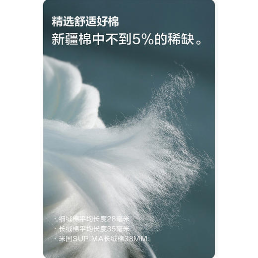 gxg.jeans男装25秋款【100%棉】男式长袖T恤打底套头衫休闲舒适百搭上衣K&C 商品图5