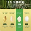【甄选】生态胚芽米2.5kg 真空锁 留胚率达90% 25年新米 软糯香甜 米香四溢 熬粥米油丰厚 售后标准见详情页 商品缩略图5