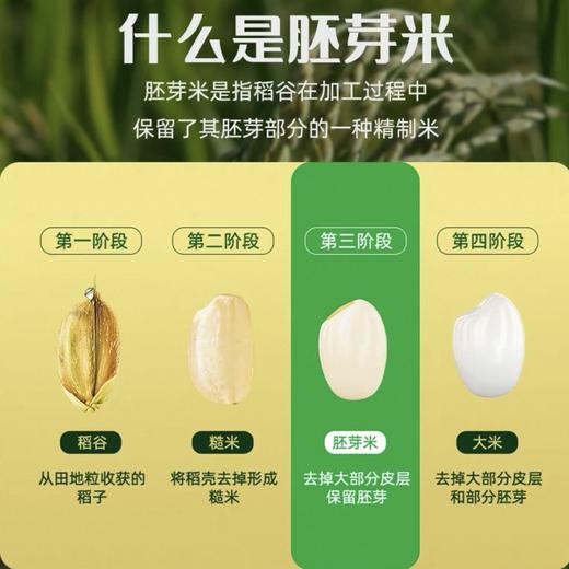 【甄选】生态胚芽米2.5kg 真空锁 留胚率达90% 25年新米 软糯香甜 米香四溢 熬粥米油丰厚 售后标准见详情页 商品图5