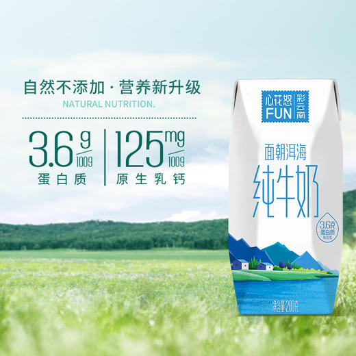 新希望雪兰云南风景纯牛奶200g/盒*10 商品图2