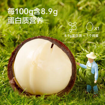 京东京造 奶香夏威夷果120g每日坚果非油炸炒货办公零食干果京东自营 商品图1