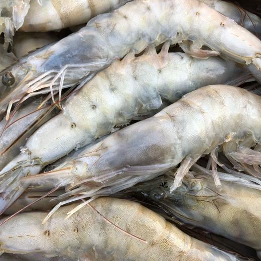 【山东好物】海捕大虾  3斤礼盒装 商品图2