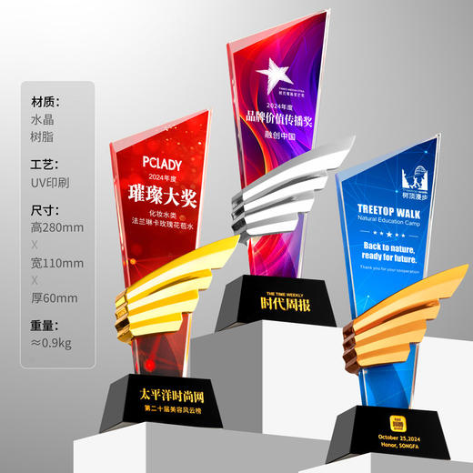 水晶奖杯定制创意翅膀造型企业颁奖奖牌表彰奖品琉璃树脂高档奖杯 商品图2
