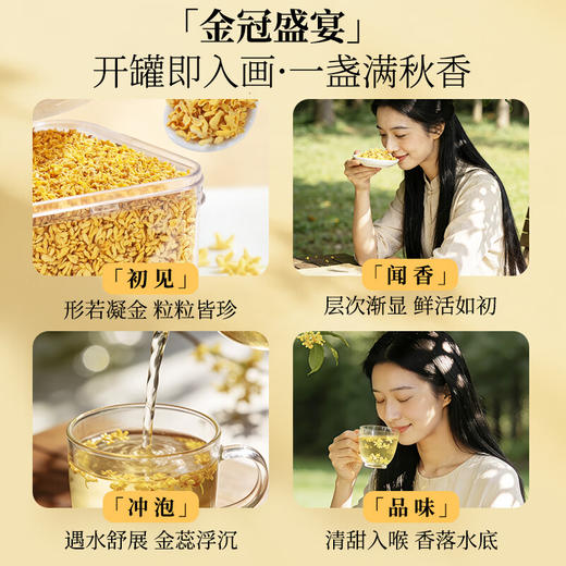 草木方冻干桂花40g 【金冠级】头茬新花桂林原产鲜桂花干泡酒花草养生茶 商品图8