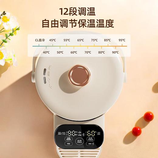 志高电热水瓶保温电热水壶家用玻璃恒温壶智能开水壶烧水保温一体 商品图1