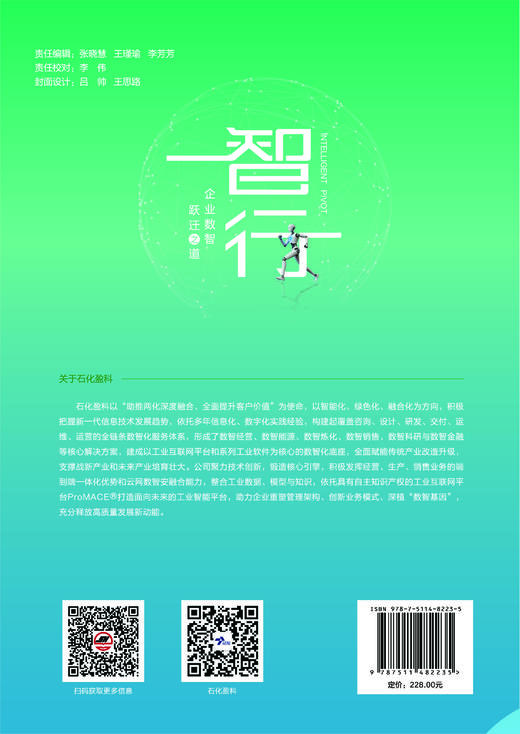 智行：企业数智跃迁之道 商品图1