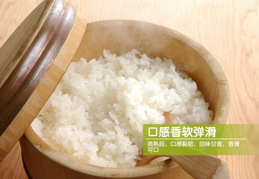 272165湿地蟹田盘锦大米Y 商品图7