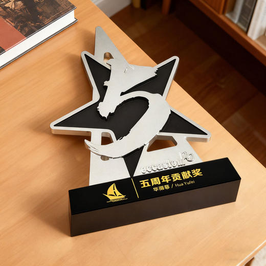 金属奖杯定制五周年颁奖奖牌表彰纪念品高级水晶定制奖牌奖章证书 商品图5