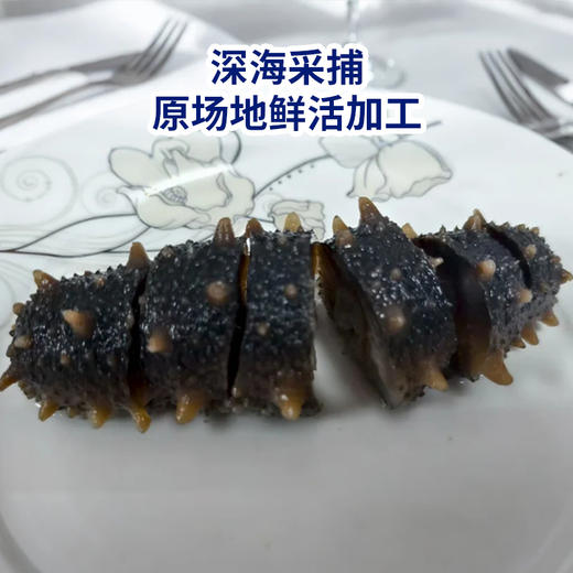 自营（海中源）- 渤海湾海域底播即食海参 礼盒装送礼佳品 高品质 无添加 商品图2