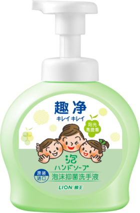 【临期品】E04015 趣净泡沫抑菌洗手液阳光青提490ml瓶装