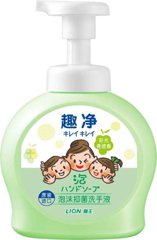 【临期品】E04015 趣净泡沫抑菌洗手液阳光青提490ml瓶装 商品图0