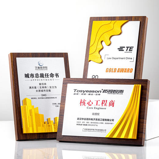 授权牌实木3D勋章优秀员工加盟代理悬挂摆放刻字奖牌奖杯合作牌匾 商品图0