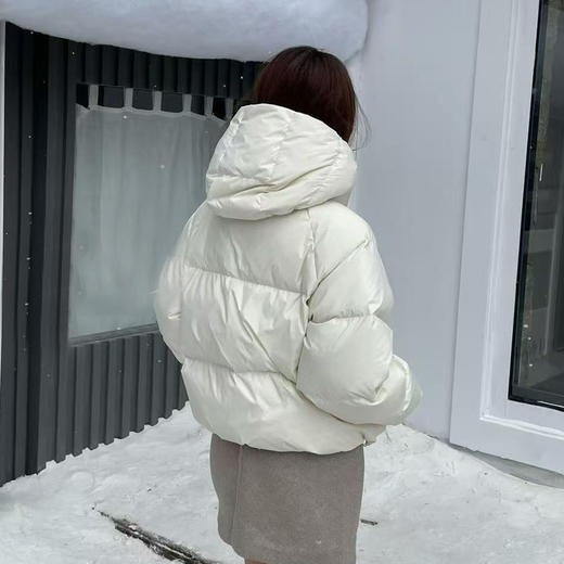 简约基本款立领带帽羽绒服-纪念日百货门店同款168393194 商品图3