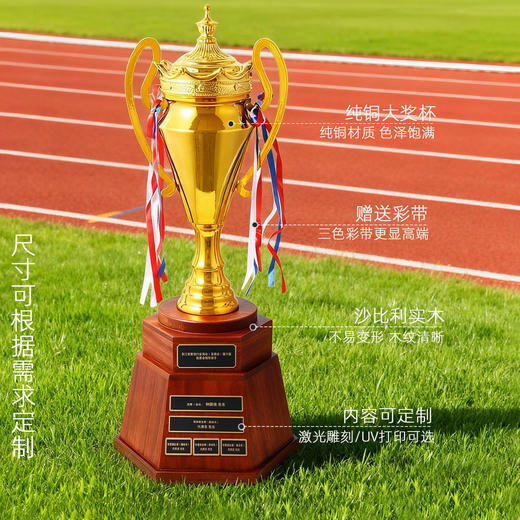 金属奖杯超大实木底座高档足球年会团队荣誉年会企业刻字新款奖牌 商品图3