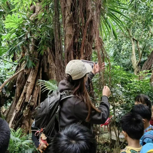 昆明周边｜青龙峡雨林徒步一日游！独家野生徒步新路线！每天可出发，亲子成人都可去，萌宠互动/秘境皮划艇/森林野餐/树攀体验/山野秘境中徒步，适合5岁-12岁的亲子家庭～五一端午路线提前预定！ 商品图5
