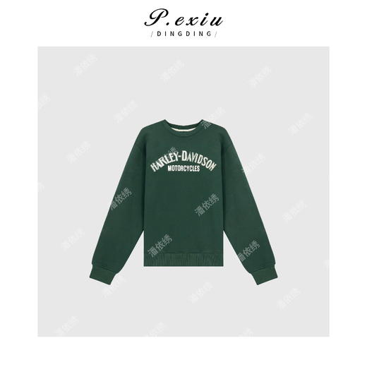 04-2潘依绣丁丁宠粉韩版简约百搭圆领字母卫衣Q4537 商品图0