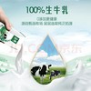 【金皇会员59金币专享】伊利金典纯牛奶整箱 250ml*16盒 3.6g乳蛋白 年货礼盒装 商品缩略图3