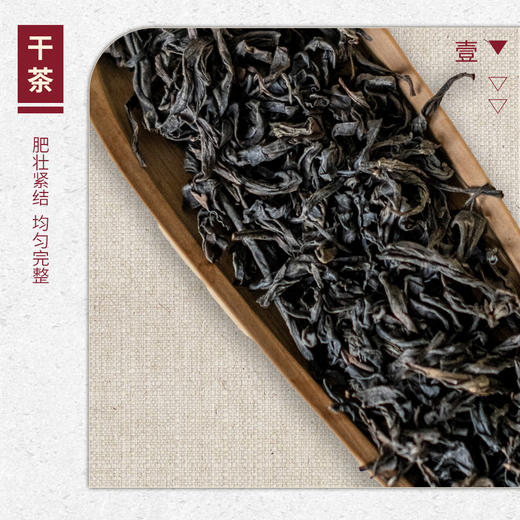 【山纯限品】2026年042马头岩桃树窠肉桂17g 商品图2