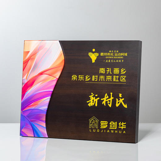 木质奖牌定制企业荣誉证书奖杯商务表彰金属奖章订制商会员大奖牌 商品图6