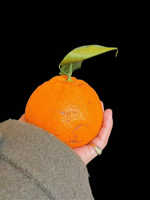 青藤社®春见  无甜蜜素，挂果期足够，口感自然，鲜味十足，层次丰富，回味悠远 商品图5