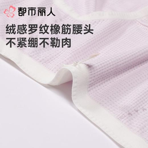 都市丽人内裤女士内裤人棉提花内裤宽版包覆内裤LKC5F1 商品图4