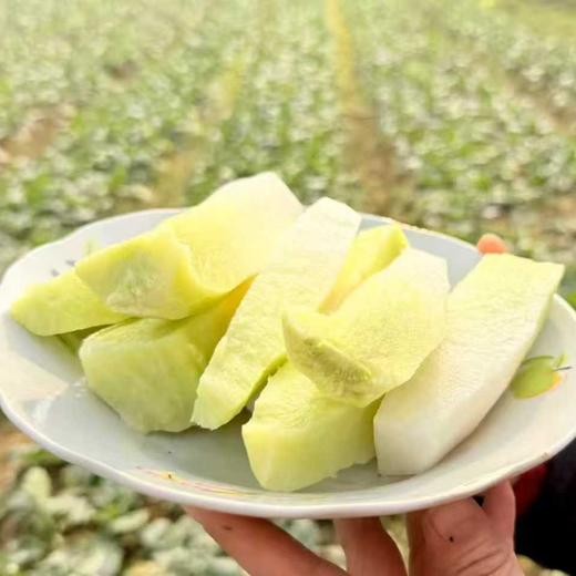 有机白玉水果萝卜 熟食似芋 生吃如梨 国家地标产品 商品图4