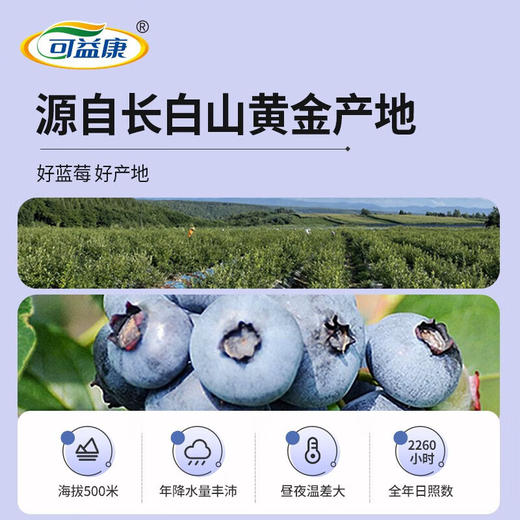 可益康蓝莓原浆饮品300ml 商品图3