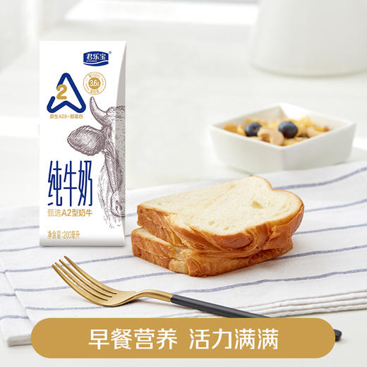 【自营】君乐宝3.6g乳蛋白A2纯牛奶200ml*12盒 CJ 商品图2