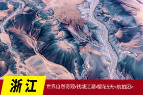 3月19日【浙江】世界自然奇观•钱塘江潮•樱花5天<航拍团> Y