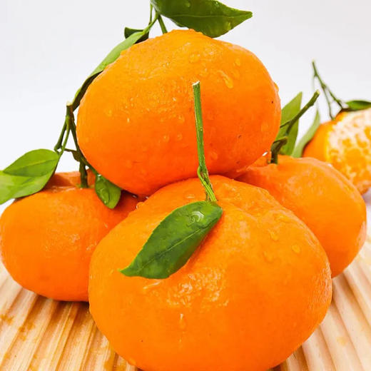 【产地直发❗️四川甘平柑橘皇后】手轻捏就能榨出汁，营养丰富！包邮应当季水果桔子，新鲜当季水果2026马年春节新年货礼物L 商品图4