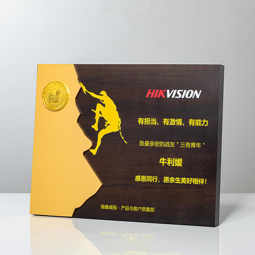 木质奖牌定制企业荣誉证书奖杯商务表彰金属奖章订制商会员大奖牌 商品图3