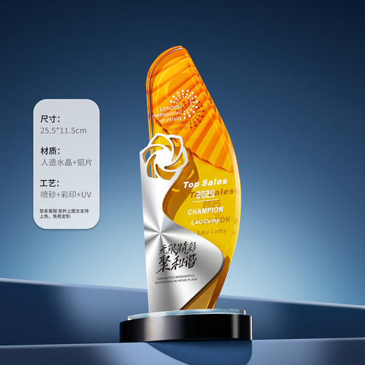 高档水晶奖杯金属CD纹创意企业年会优秀员工银行保险嘉奖纪念奖杯 商品图4