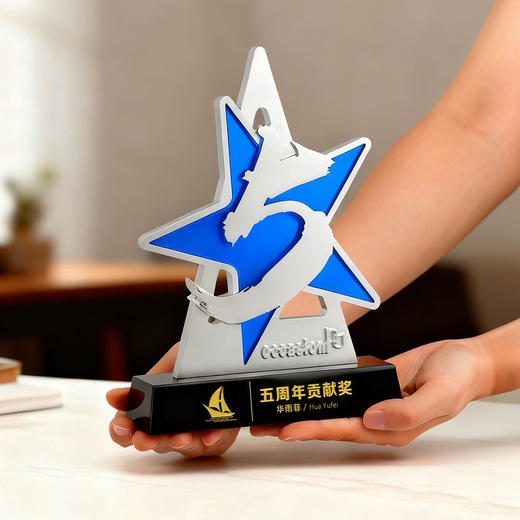 金属奖杯定制五周年颁奖奖牌表彰纪念品高级水晶定制奖牌奖章证书 商品图7