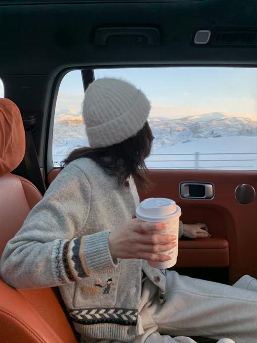 浮生八记/25D266/“女骑士与小马”费尔岛羊毛手工提花圆领开衫 商品图2