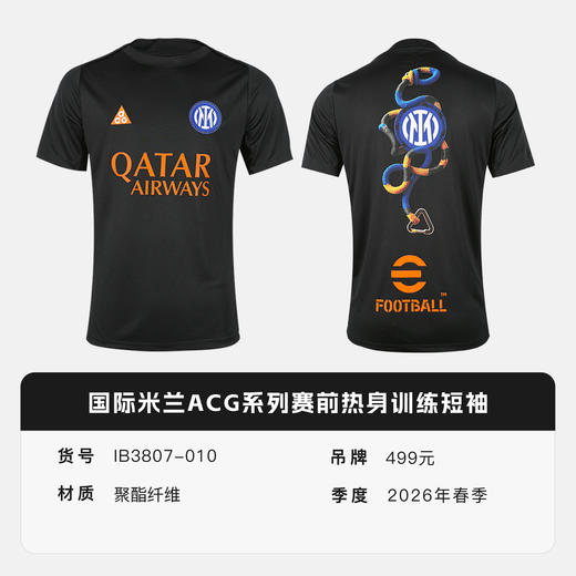 小李子NIKE耐克国际米兰ACG系列赛前热身训练短袖成人IB3807-010 商品图4