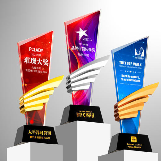 水晶奖杯定制创意翅膀造型企业颁奖奖牌表彰奖品琉璃树脂高档奖杯 商品图0