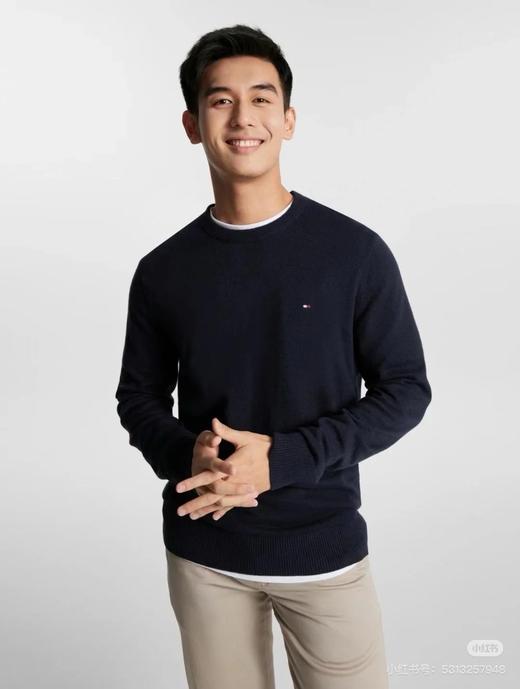 二店y 官网1500+ 经典款 TOMMY//汤米 男士圆领套头针织衫毛衣 商品图13