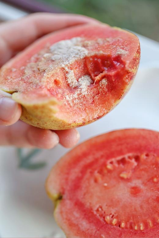 奶油红心芭乐  4斤礼盒装 商品图5