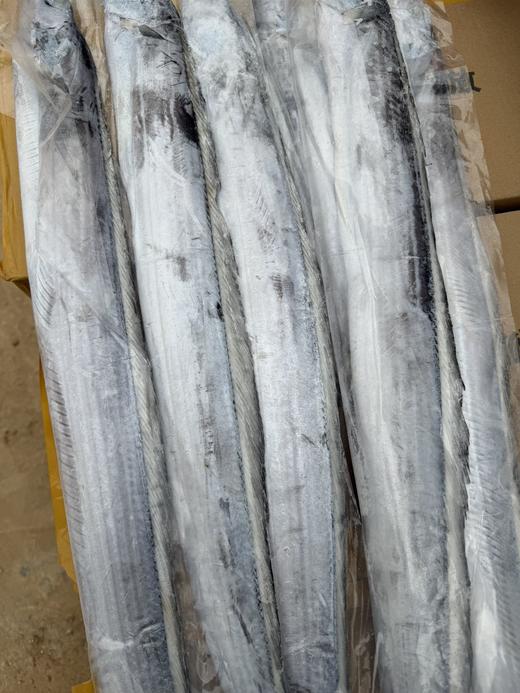 深海野生马鲛鱼/深海钓带鱼丨渤海湾，刺少肉多，细嫩洁白，糯软鲜爽，送礼佳品，切块可备注⭐️京东陆运 商品图10