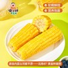 自营（山蒙海时）-傻小胖马年限定一马当鲜玉米礼盒新鲜玉米早餐甜玉米真空包装2kg 商品缩略图2