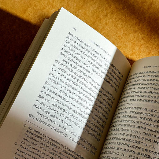 海德格尔与欧洲虚无主义 虚无主义批判译丛 卡尔·洛维特 六点图书 商品图13