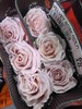 厄瓜多尔进口染色玫瑰花velvet rose gold粉色天鹅绒10支 商品缩略图1