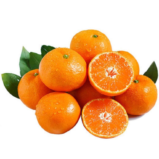 【年货送礼佳选❗️正宗涌泉蜜桔礼盒】徒手轻捏就能榨出汁，营养丰富！产地直发高山蜜橘，新鲜当季水果2026马年春节新年货礼物L 商品图4