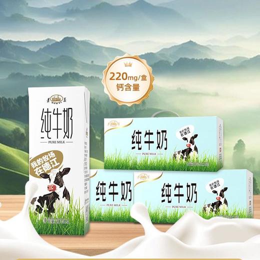 ⁵66.6元3箱【遵义纯牛奶】配料只有生牛乳 200ml/瓶 10瓶/箱 YY05-QTT-ZYHS 商品图0