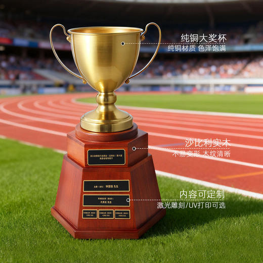 奖杯定制纯铜实木创意高档大气年会颁奖优秀员工团队销售冠军奖牌 商品图4