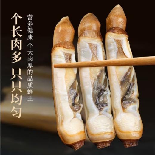 弹指鲜生 特选竹蛏肉800g*2 商品图2