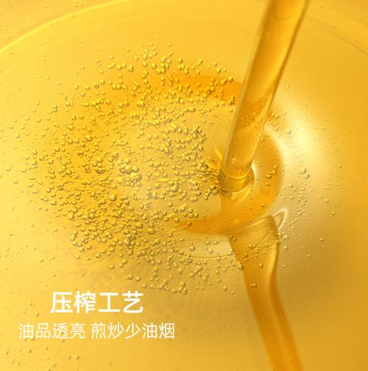 【YC】黑土地非转大豆油  10L 商品图1