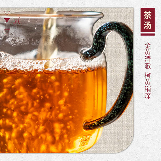 【山纯限品】2026年042马头岩桃树窠肉桂17g 商品图3