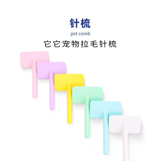 TAA它它宠物专美容去浮毛开结精灵针梳 商品图4