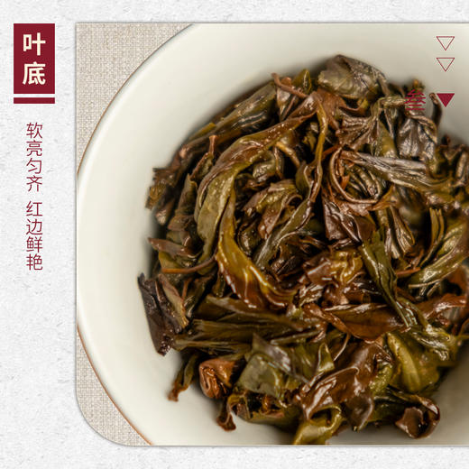 【山纯限品】2026年042马头岩桃树窠肉桂17g 商品图4